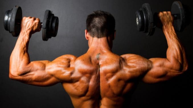 Bulk