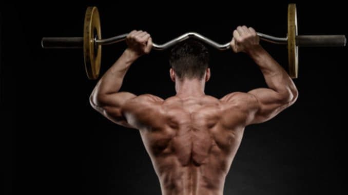 Lean bulk
